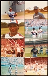 Massive Baseball Signed Photos Group with HOFers, Red Sox Emphasis (330+)